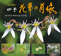 心で撮る四季　花華の肖像　　山口英夫 著